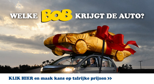 bob campaign 2009: win a car